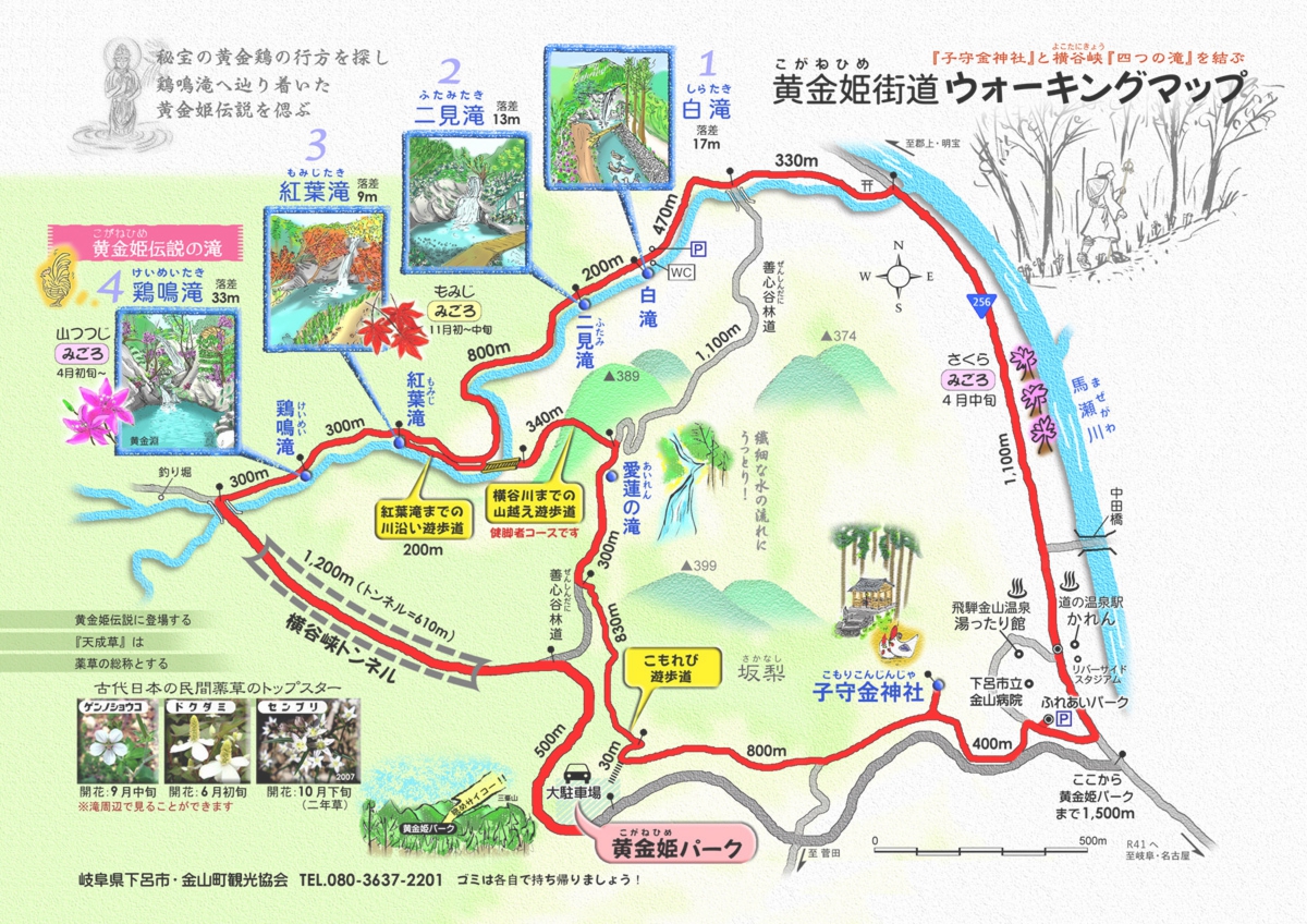 map_01.jpg