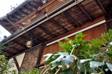 set_08.jpg